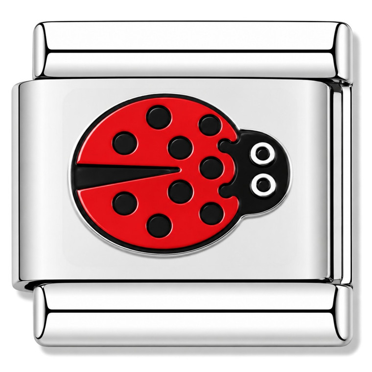 Cute Ladybug Spots Value Italian Charm