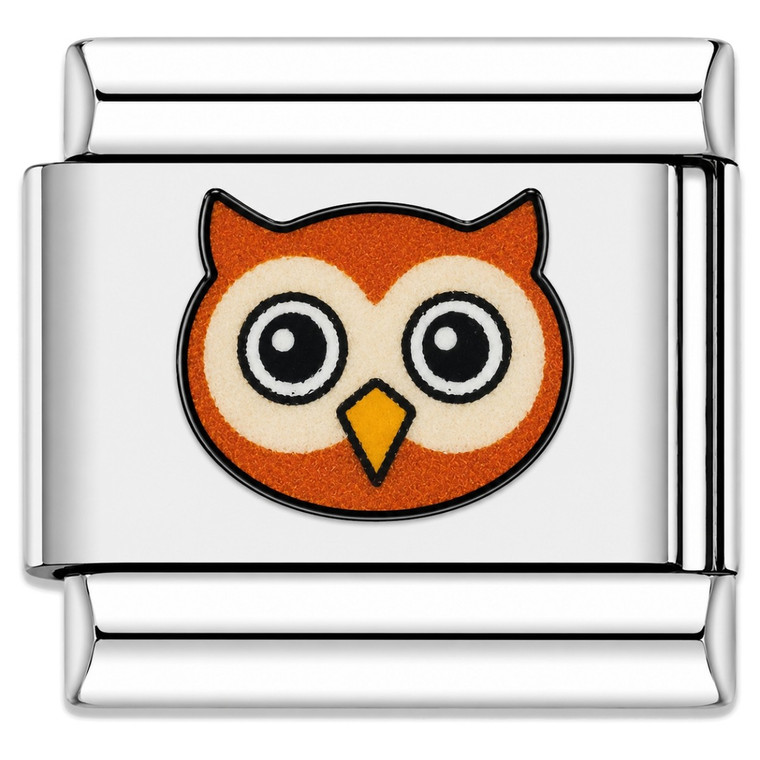 Owl Face Value Italian Charm