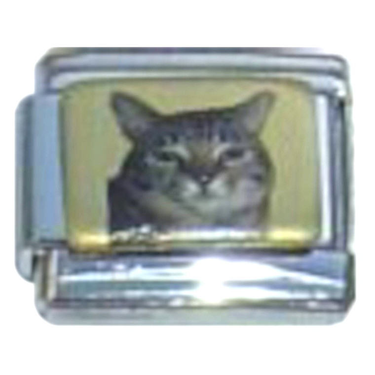 Cat Picture Italian Charm