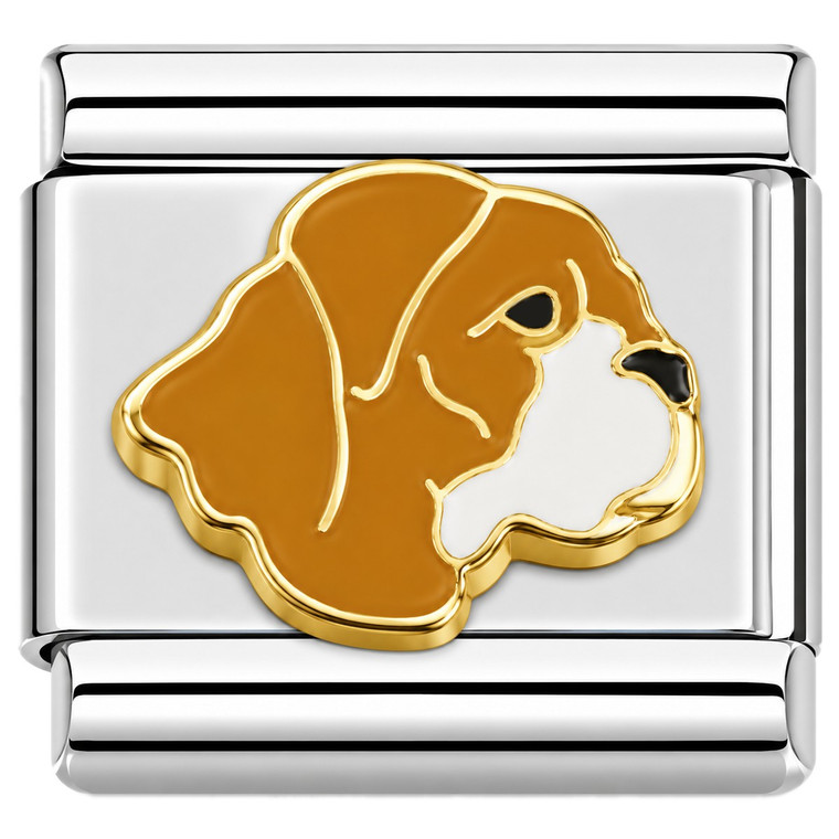 Dog Brown And White Italian Charm