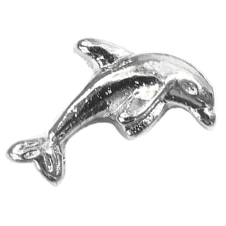 Silvertone Dolphin Floating Locket Charm