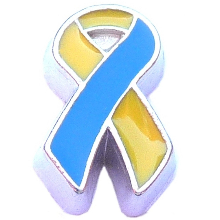 Blue And Yellow Ribbon Floating Locket Charm