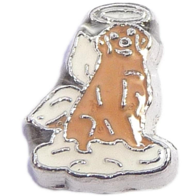 Golden Retriever Angel Dog Floating Locket Charm