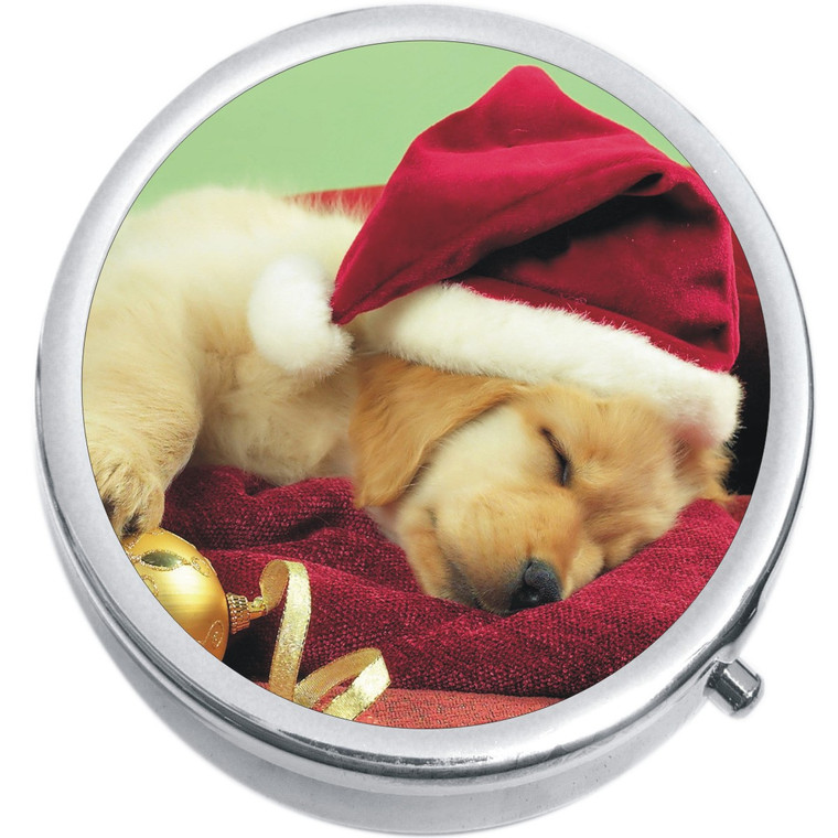 Christmas Puppy Medical Pill Box