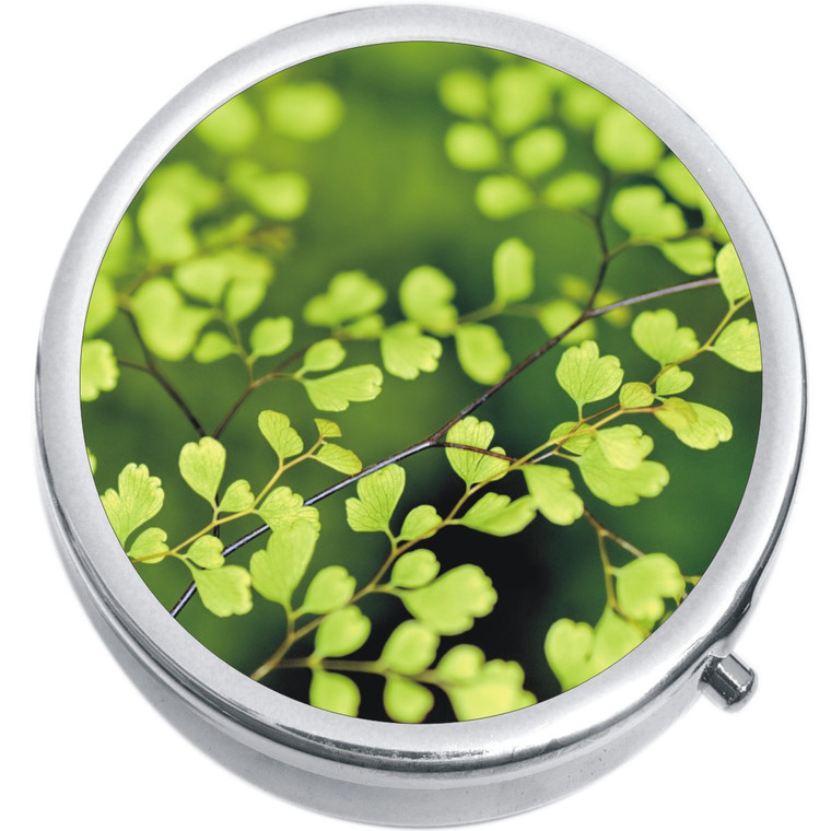 Green Leaves Medical Pill Box