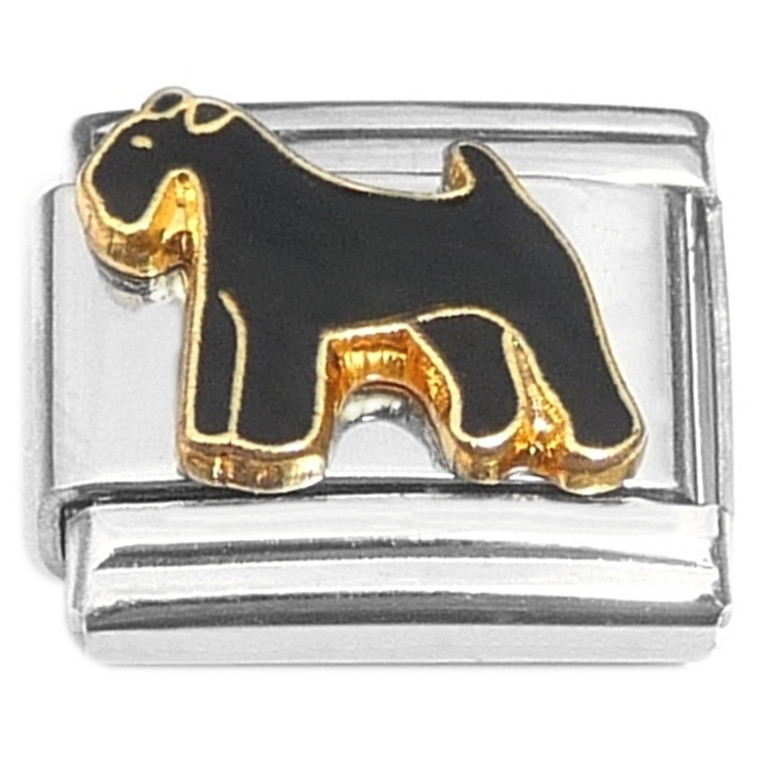 Schnauzer Italian Charm