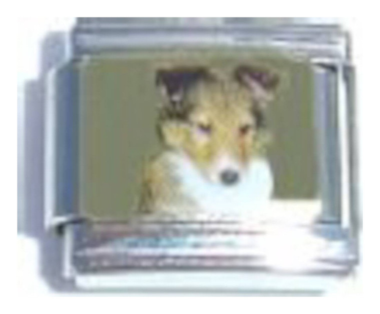 Dog Picture Italian Charm