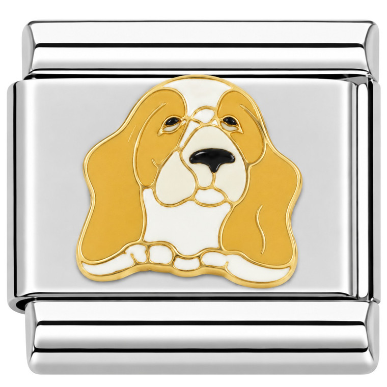 Dog Brown And White Italian Charm