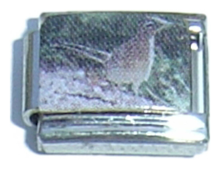 Bird Picture Italian Charm
