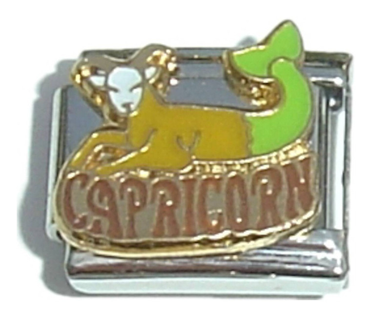 Capricorn Italian Charm