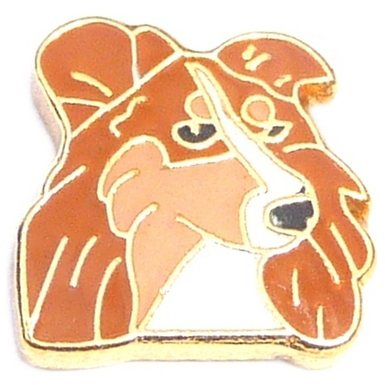 Collie Floating Locket Charm