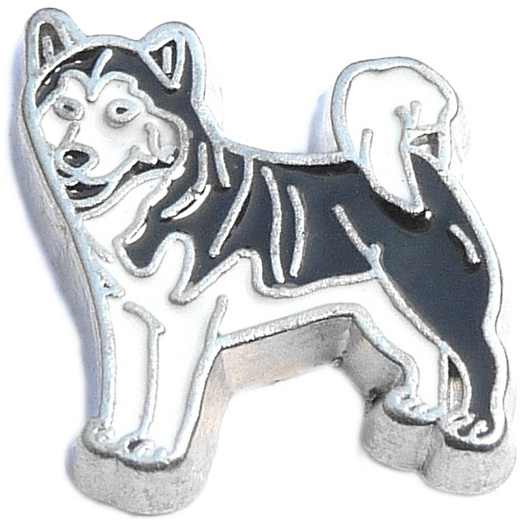 Husky Floating Locket Charm