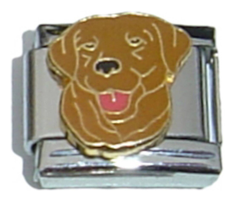 Chocolate Lab Italian Charm