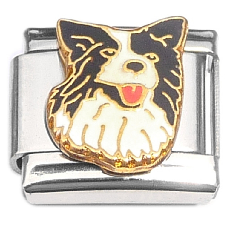 Border Collie Dog Italian Charm
