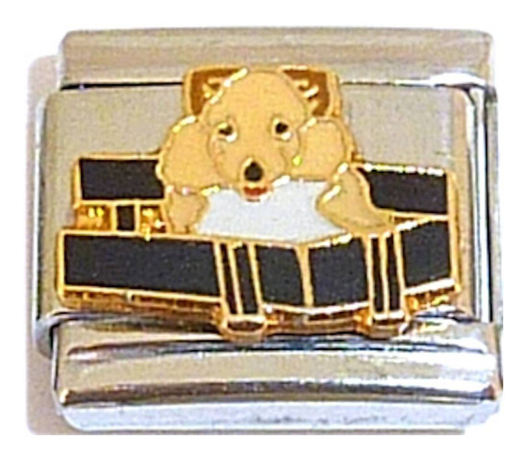 Dog In A Box Italian Charm