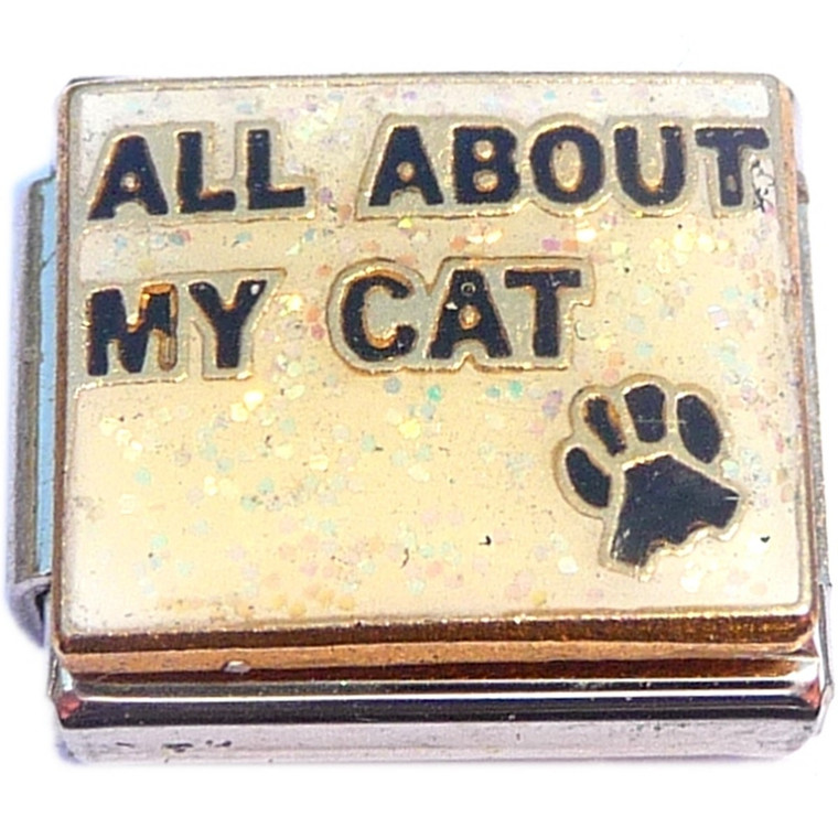 All About My Cat Italian Charm