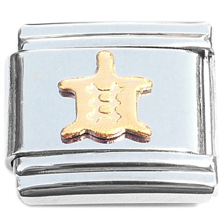Sea Turtle Swimming Seaturtle Gold Italian Charm