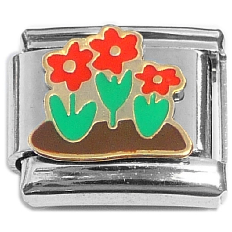 Red Flowers Growing Garden Italian Charm