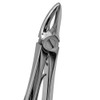 Extraction Forceps - Fine