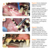 veterinary dental sealant sanos