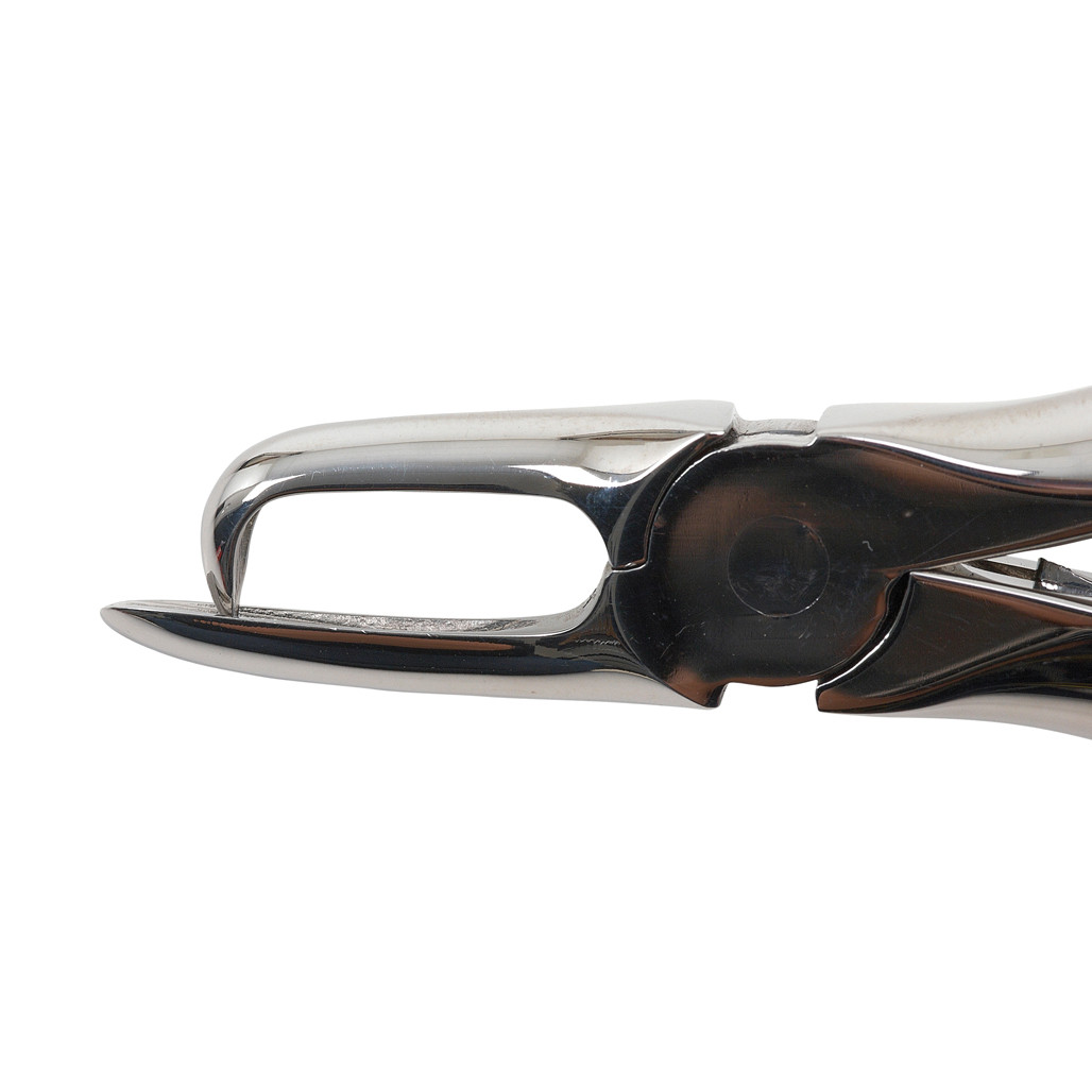 Calculus Rmeoval Forceps Tartar Removing Forceps