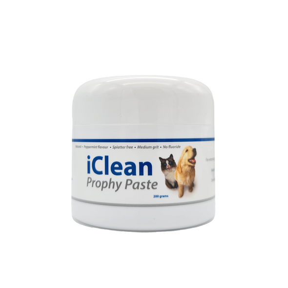 iClean Prophy Paste - Medium - 200g Tub