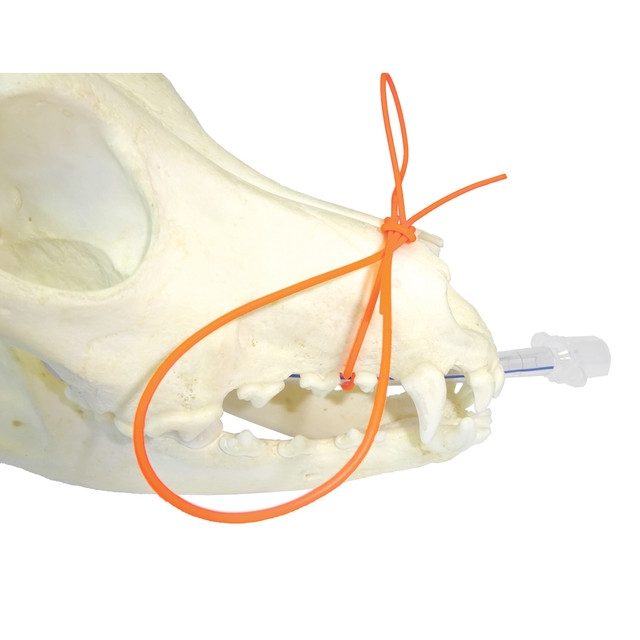 Tondeuse à Tissus Dentaire Céramique FG - Diamètre 23mm - Pour Gingivectomie/chirurgie - Neuf Sous Emballage