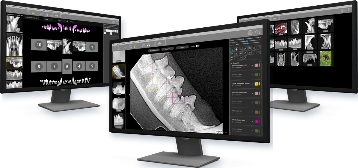 Clarity XR Networking on three clinic computers