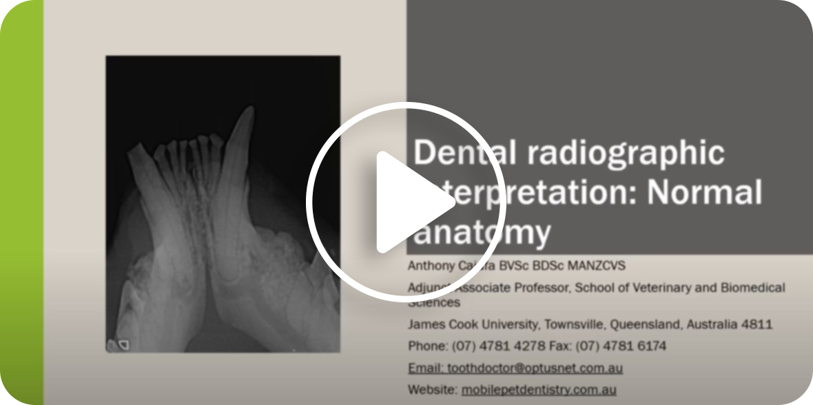 Image showing an eduational video on Dental radiographic interpretation alongside a healthy teeth and surrounding structures. 
