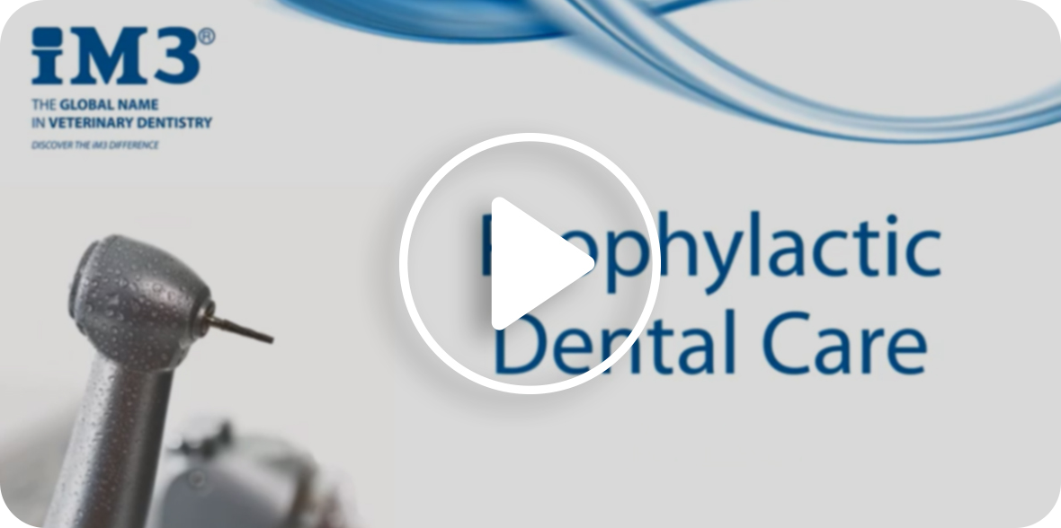 A video on importance of Prophylactic Dental Care 