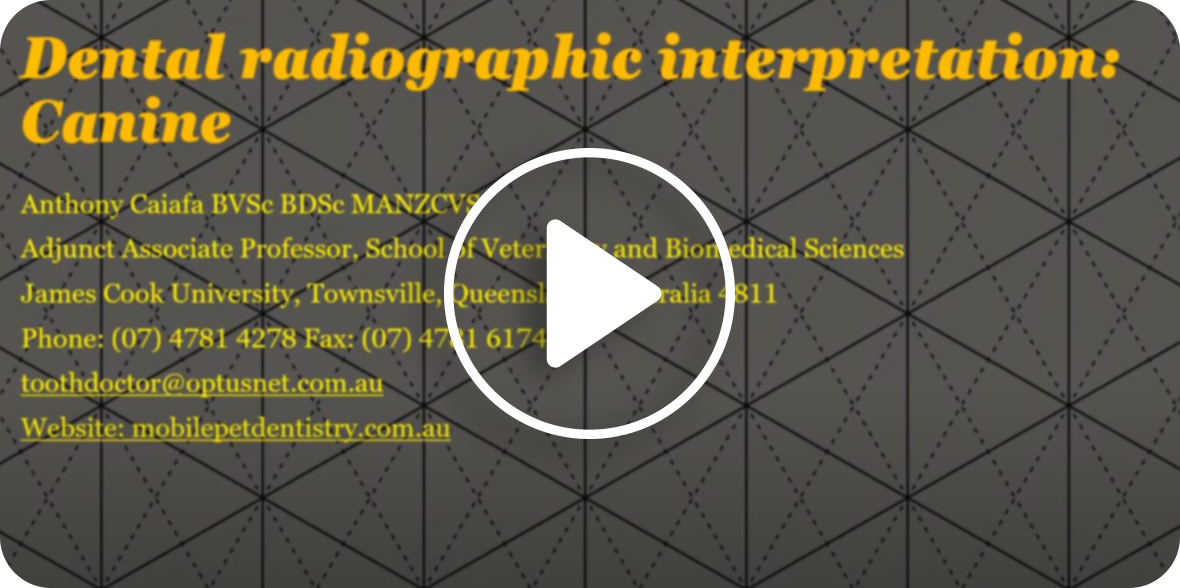 An educational video on Dental Radiographic Interpretation: Canine