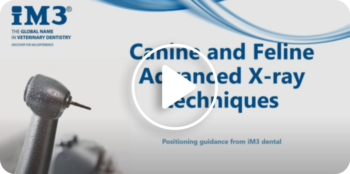 An educational video demonstrating advanced x-ray methods for canines and felines