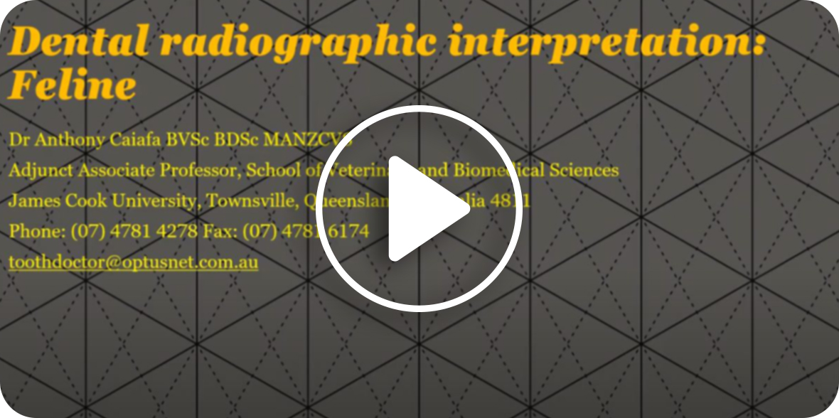 An educational video on Dental Radiographic Interpretation: Feline