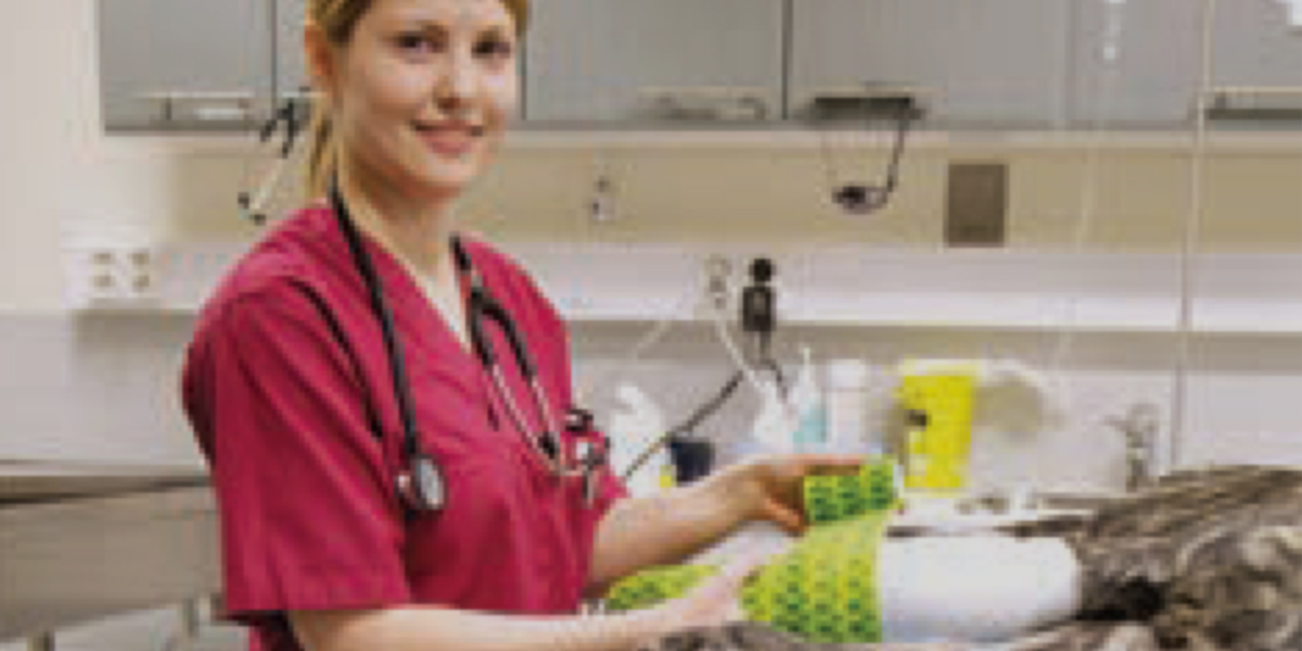 A woman in a hospital with a cat, showcasing the importance of ergonomics in dentistry work