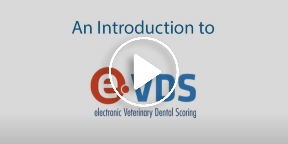 An introductory video on e-VDS