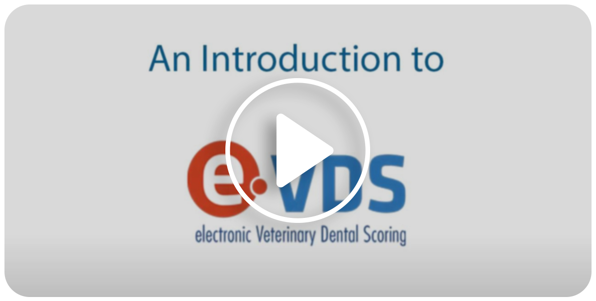 A video to introduce e-VDS scoring system