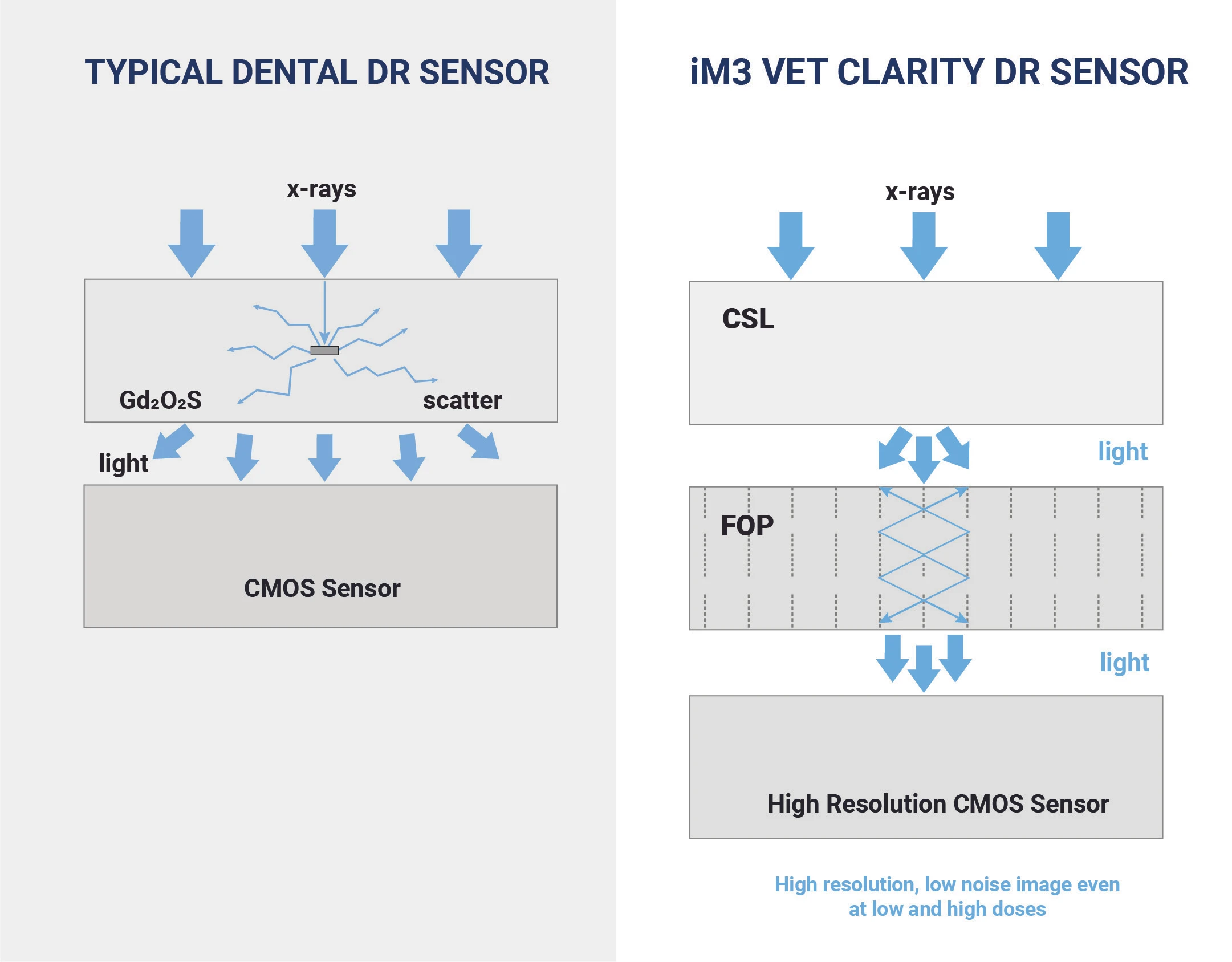 iM3 Vet Clarity DR Size 4 resolution comparison