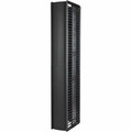 APC by Schneider Electric Cable Manager - Cable Manager - Black - 42U Rack Height - 1 Each
