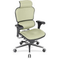 Eurotech Ergohuman Leather Executive Chair - Olive Seat Color - Fabric, Leather Seat Material - Olive Back Color - Fabric, Leather Back Material - 5-star Base - 1 Each