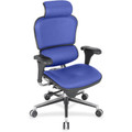 Eurotech Ergohuman Leather Executive Chair - Cobalt Seat Color - Fabric, Leather Seat Material - Cobalt Back Color - Fabric, Leather Back Material - High Back - 5-star Base - 1 Each