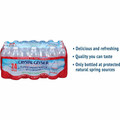 Crystal Geyser Natural Alpine Spring Water - Ready-to-Drink - 16.90 fl oz (500 mL) - 2016 / Pallet