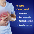 TUMS Chewy Bites Chewable Antacid Tablets - For Acid Indigestion, Heartburn, Sour Stomach, Upset Stomach - Assorted Berries - 32/Bottle - 1 Each