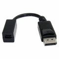 StarTech.com 6in DisplayPort to Mini DisplayPort Cable Adapter - 6" DisplayPort/Mini DisplayPort Video Cable Adapter for Monitor, Notebook, Audio/Video Device, Computer - First End: 1 x 20-pin DisplayPort 1.2 Digital Audio/Video - Male - Second En...