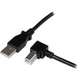 StarTech.com USB 2.0 A to Right Angle B Cable - M/M - 6.56 ft USB/USB-B Data Transfer Cable for Printer, Scanner, External Hard Drive - First End: 1 x 4-pin USB 2.0 Type A - Male - Second End: 1 x 4-pin USB 2.0 Type B - Male - 480 Mbit/s - Shieldi...