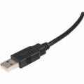 StarTech.com High Speed Certified USB 2.0 USB Cable - 10 ft USB Data Transfer Cable for Printer, Scanner, External Hard Drive - First End: 1 x 4-pin USB Type A - Male - Second End: 1 x 4-pin USB Type B - Male - 480 Mbit/s - Nickel Plated Connector...