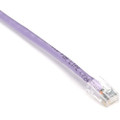 Black Box GigaTrue Cat.6 UTP Patch Network Cable - 4 ft Category 6 Network Cable for Patch Panel, Wallplate, Network Device - First End: 1 x RJ-45 Network - Male - Second End: 1 x RJ-45 Network - Male - 1 Gbit/s - Patch Cable - CM - 24 AWG - Lilac...