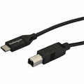 StarTech.com USB-C to USB-B Cable - M/M - 2 m (6 ft.) - USB 2.0 - 6.56 ft USB-C/USB-B Data Transfer Cable for Printer, Tablet, Scanner, Notebook, Computer, External Hard Drive - First End: 1 x 4-pin USB 2.0 Type B - Male - Second End: 1 x 24-pin U...