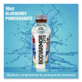 LYTE Sports Drink, Blueberry Pomegranate, 16 oz Bottle, 12/Pack