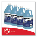 Squeaky Concentrate Floor Cleaner, Characteristic Scent, 1 gal Bottle, 4/Carton