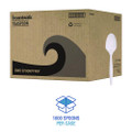 Mediumweight Polypropylene Cutlery, Spoon, 5.31", Plastic, White, 1,000/Carton